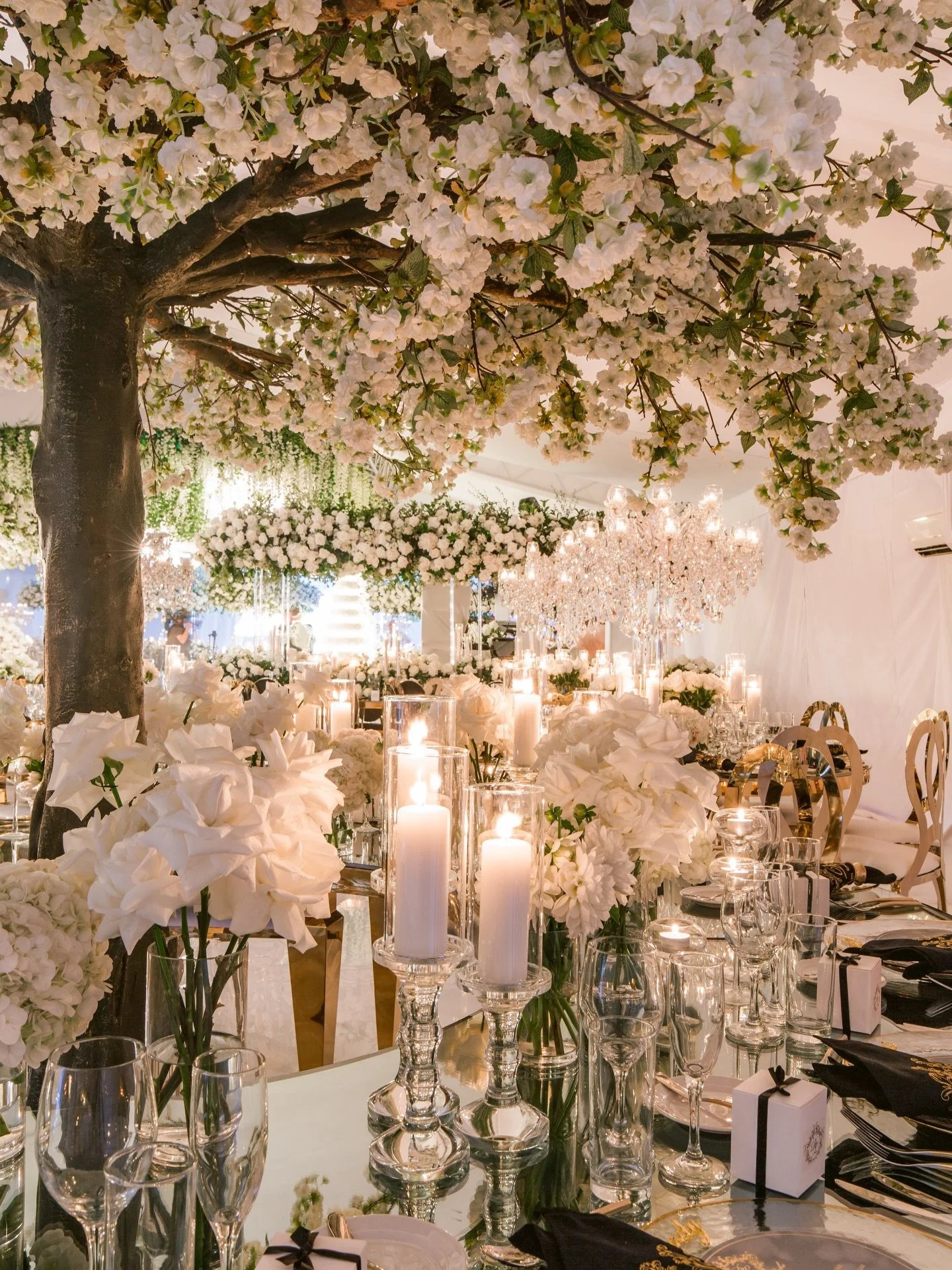 The Reception Vision That Changed Everything ✨

I still remember looking at over 40+ wedding planners for our very own wedding&hellip; and yet lying awake wondering what the reception would actually feel like.

The colours. The florals. The chandelie