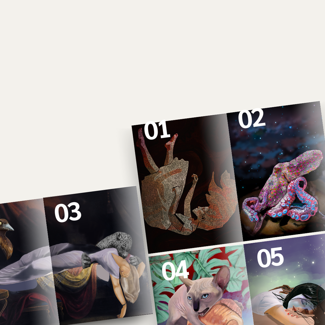 Illustration Projects