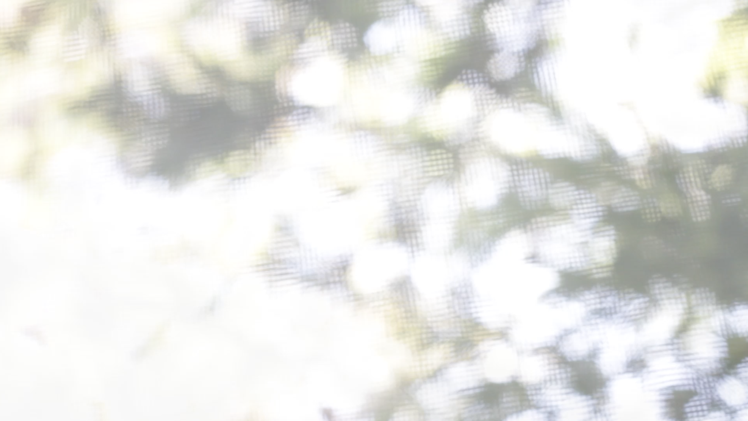 mt. by mothlight – promo