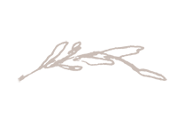 Leaf-Pink.png