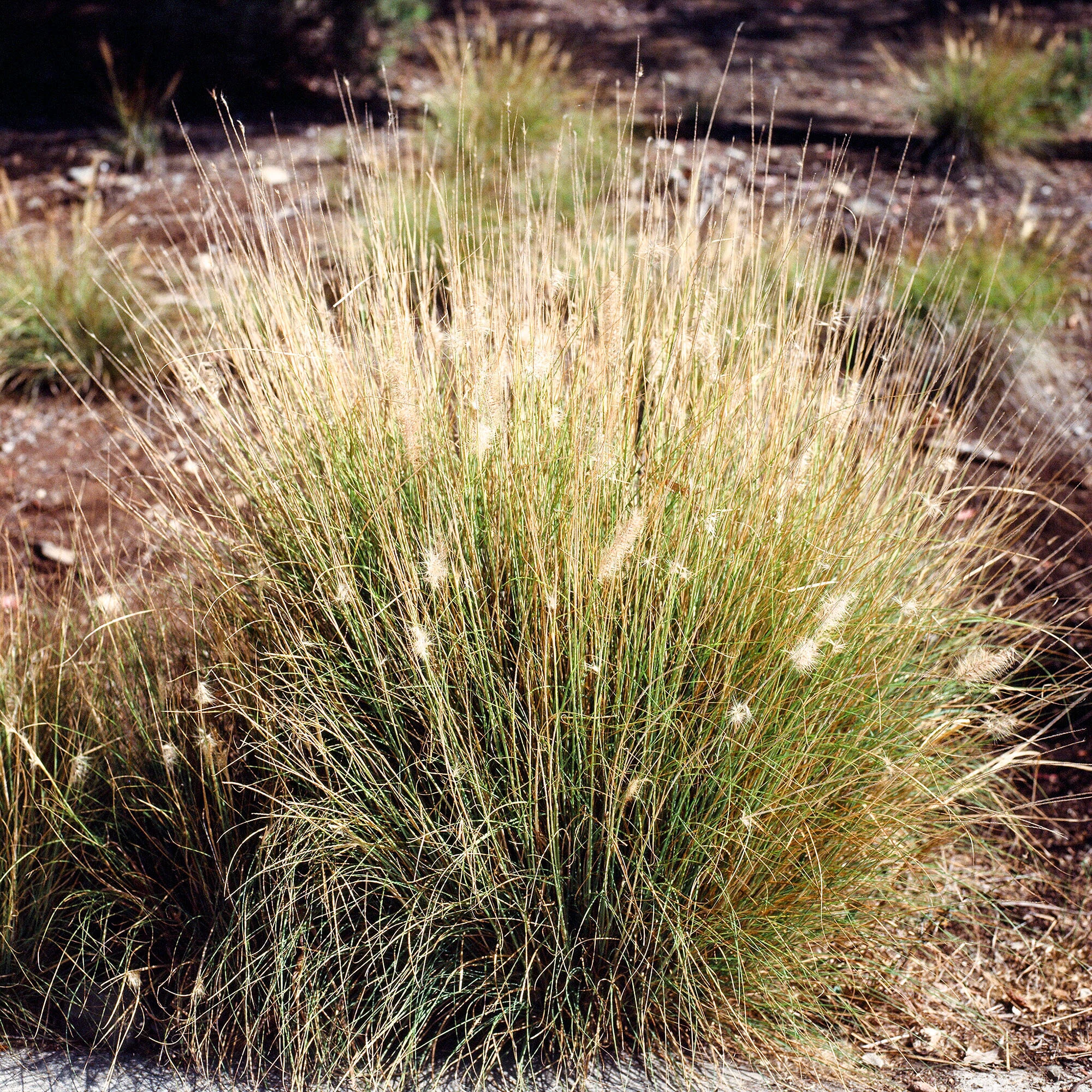 Douglas_Stockdale_38.jpg