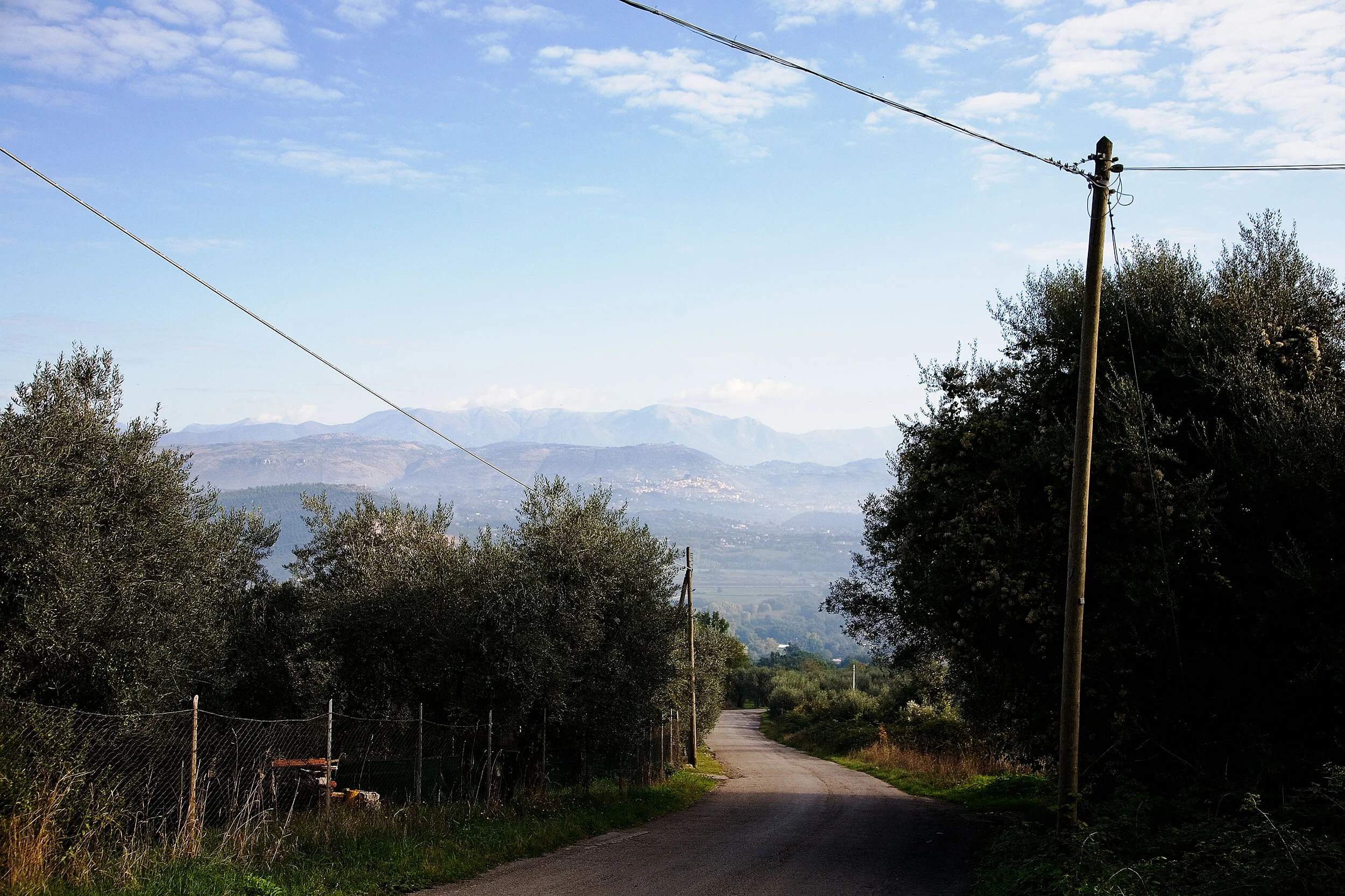 Morolo_0235_10-22-10.jpg