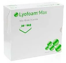 Lyofoam1.jpg
