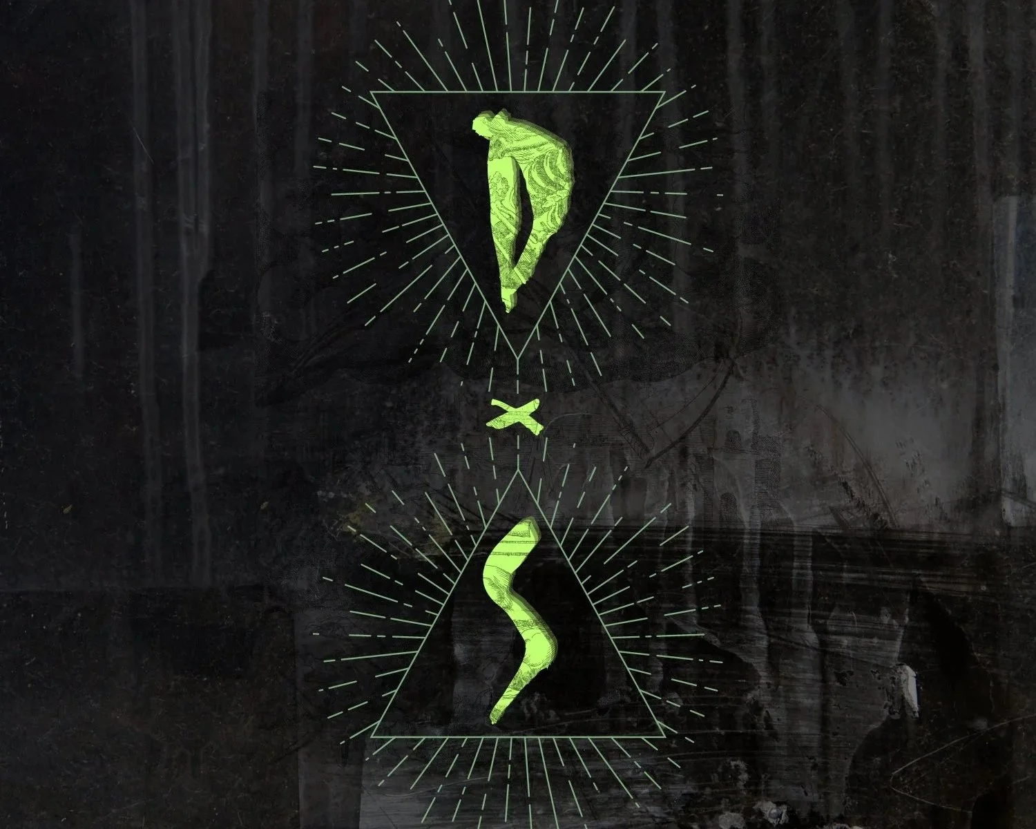 D x S Label logo Design.jpg