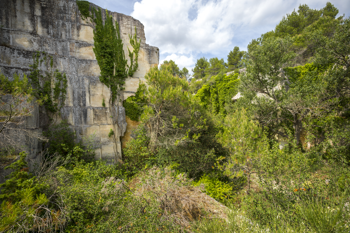 class-quarry-trip-2.jpg