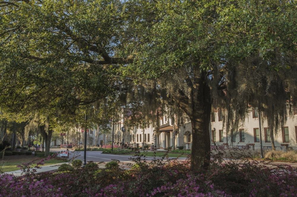 Springtime over Valdosta State on March 25, 2014.jpg
