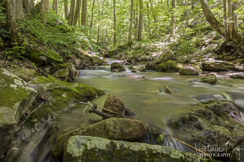 mountain-stream-2.jpg