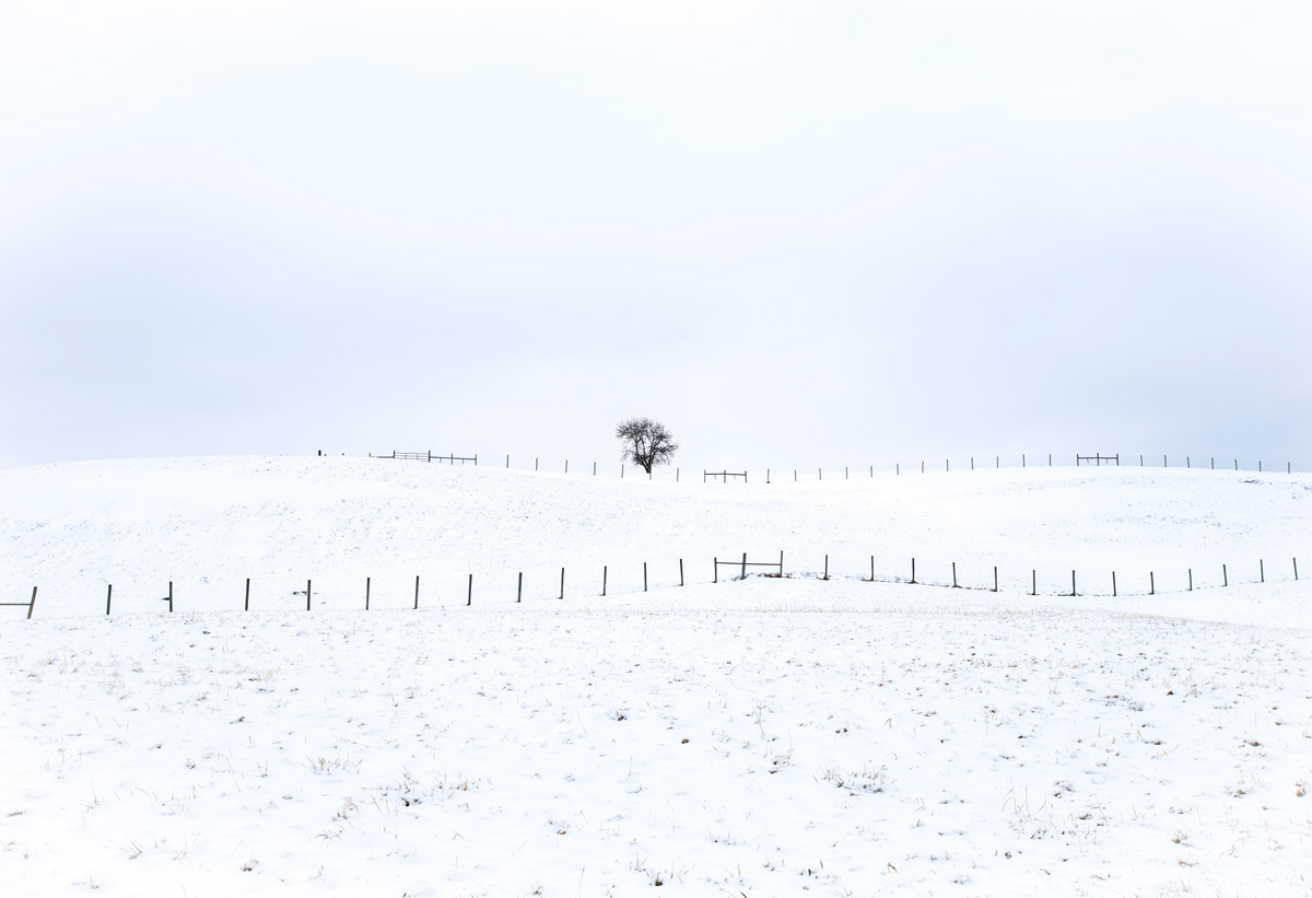 A-Snowy-Field-in-Danese,-West-Virginia.jpg