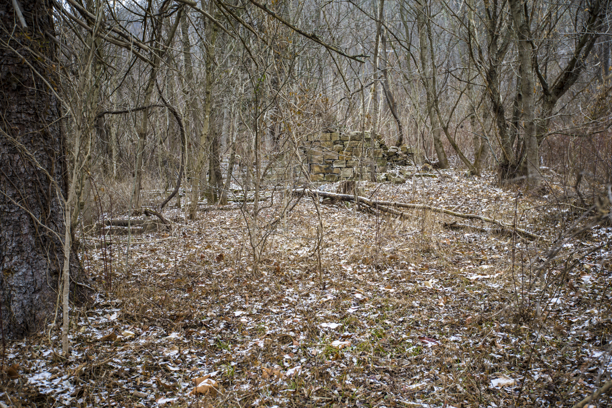 VKing_PA5-10.jpg