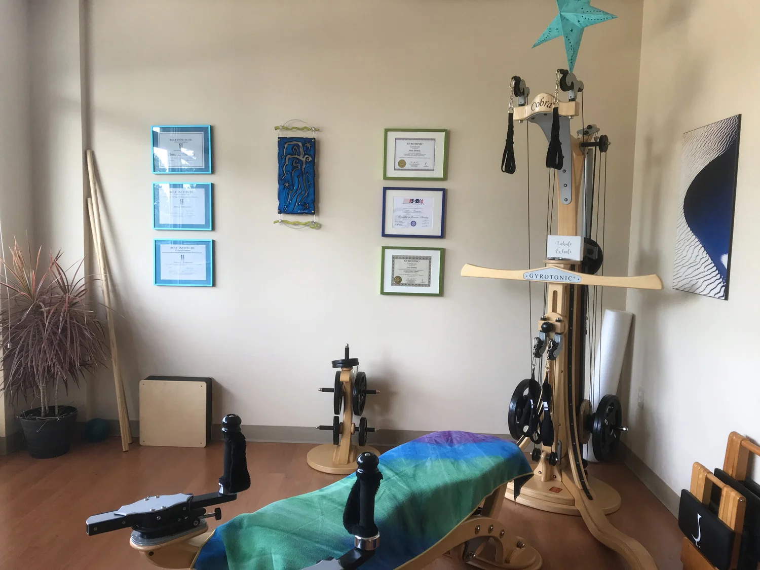 GyrotonicStudioEvergreen.jpg