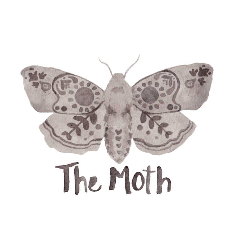 moth square.png