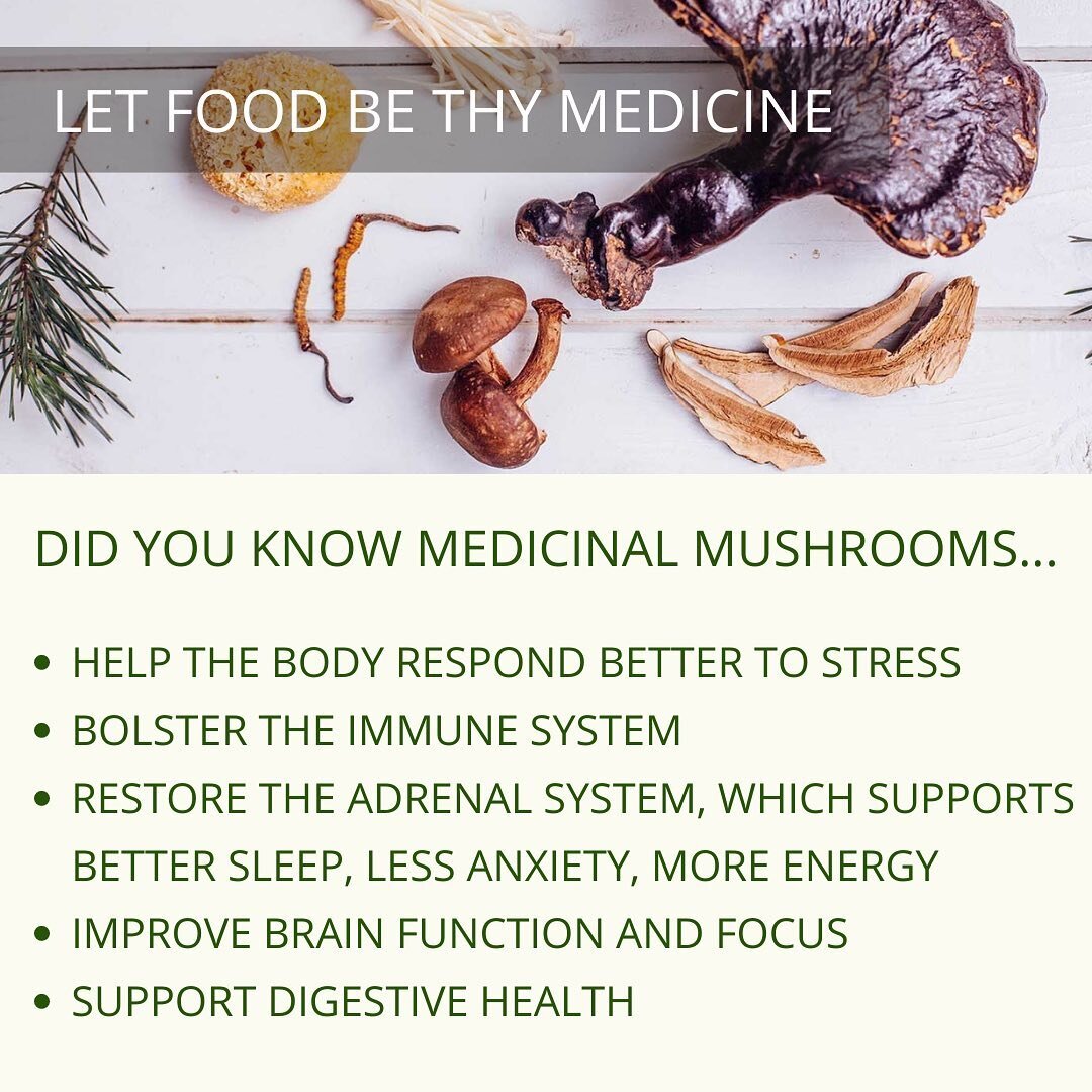 It is believed that mushrooms have been on this earth for more than 1.5 billion years&hellip; and therefore carry within their genetic code, ancient healing properties and a certain level of intelligence that, when ingested by human (and probably ani