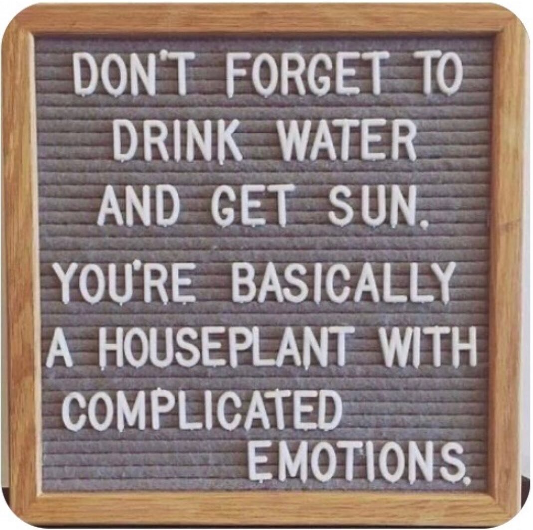 It&rsquo;s a lovely day to remember that things can be simple if we choose it. Have a beautiful day!