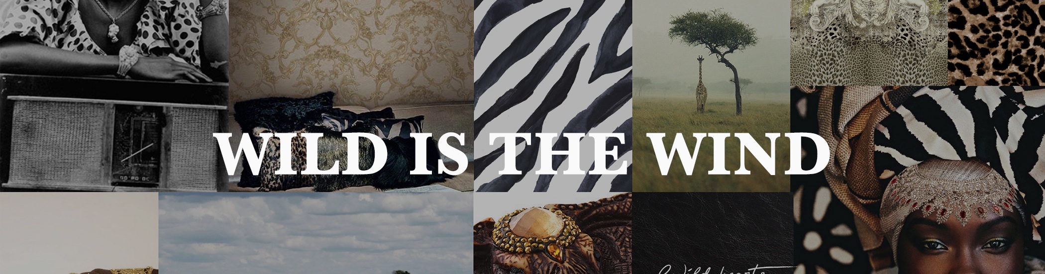 WILD+banner+with+text.jpg