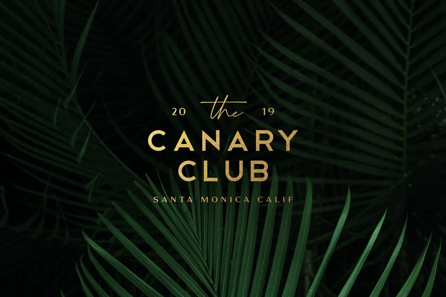 canary-01a.jpg