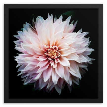 Screen Shot 2018-12-03 at 1.03.37 AM.png