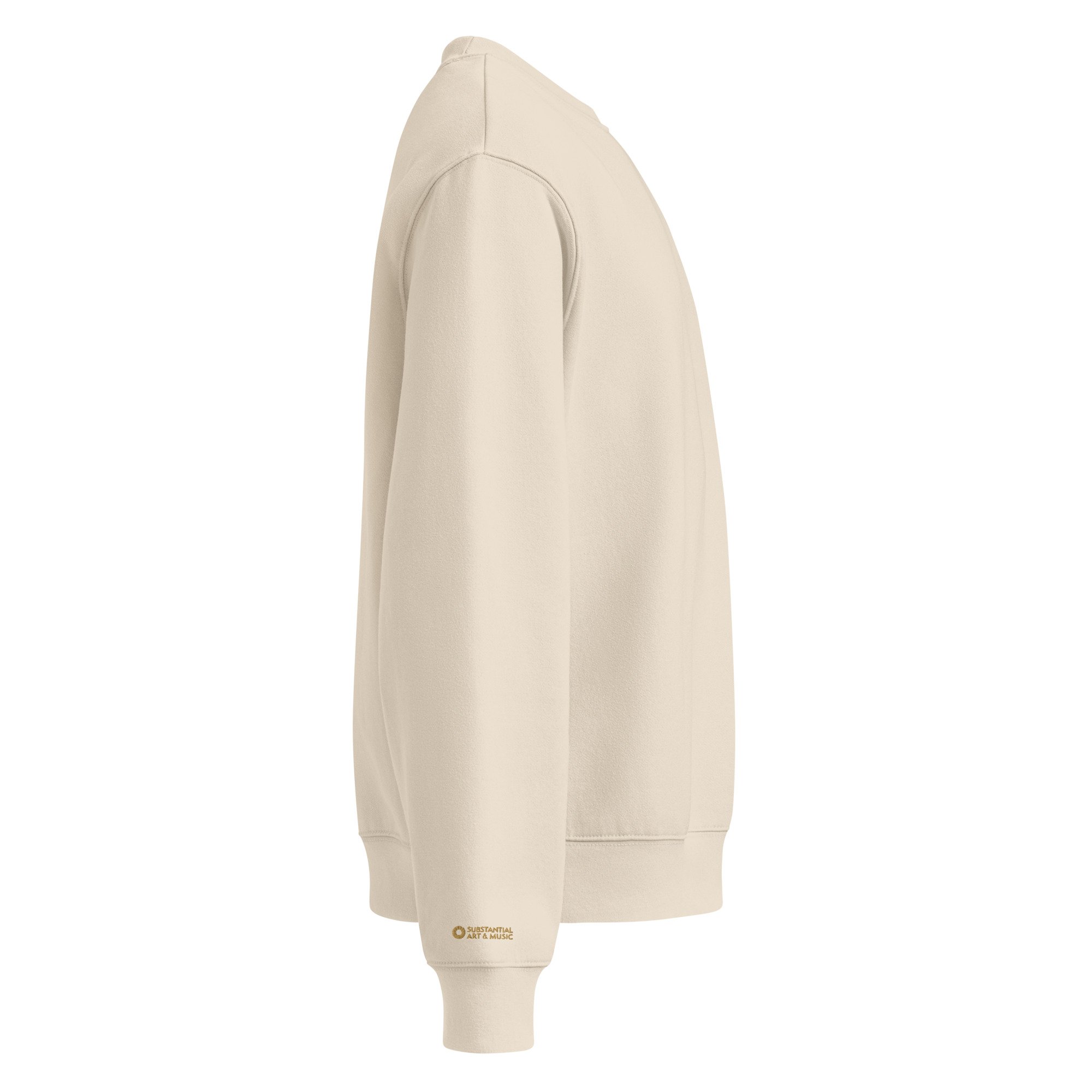 unisex-oversized-heavyweight-sweatshirt-dust-right-692a80a7020b8.jpg