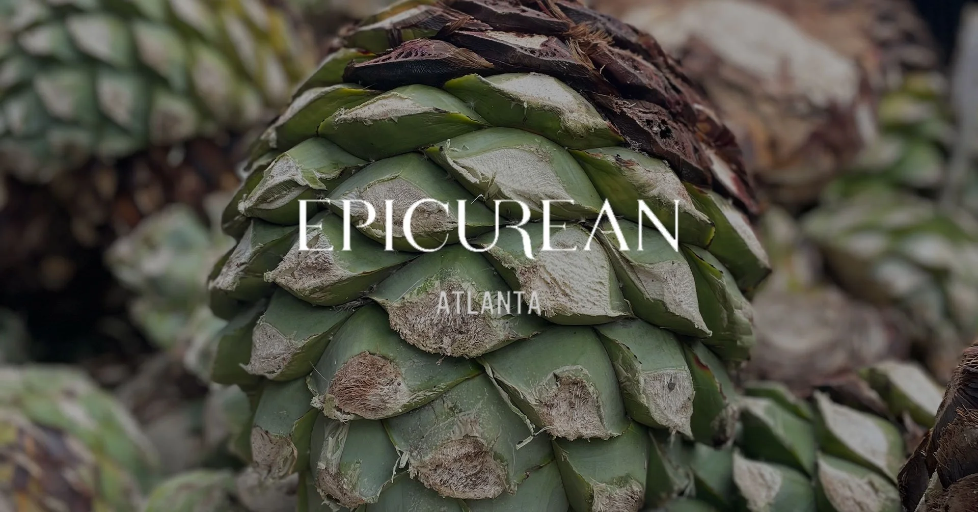 Beyond Oaxaca: Mezcal across Mexico