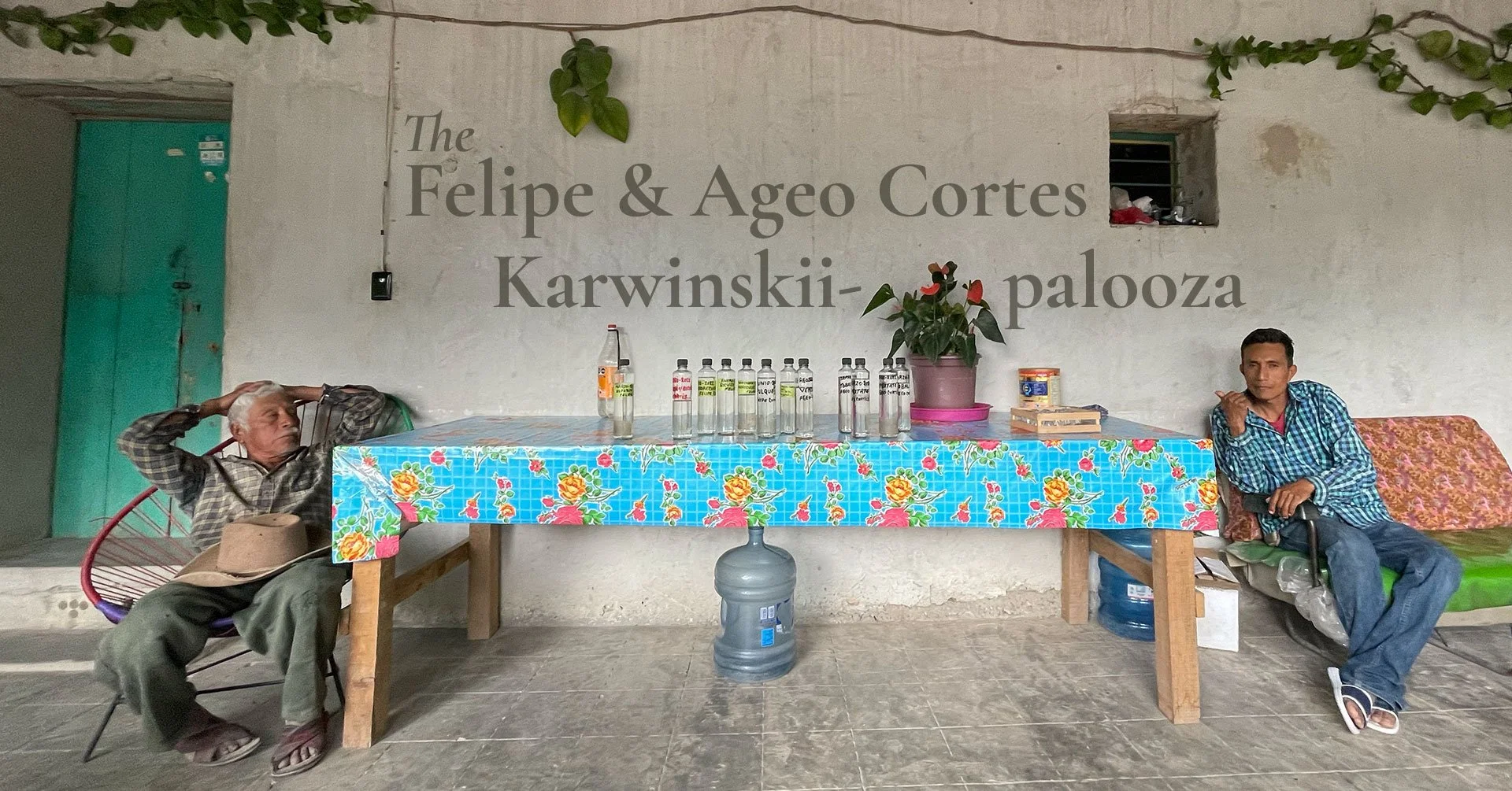 Mezcal Sunday Brunch featuring the Felipe & Ageo Cortes Karwinskii-palooza