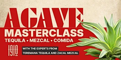 Agave Masterclass