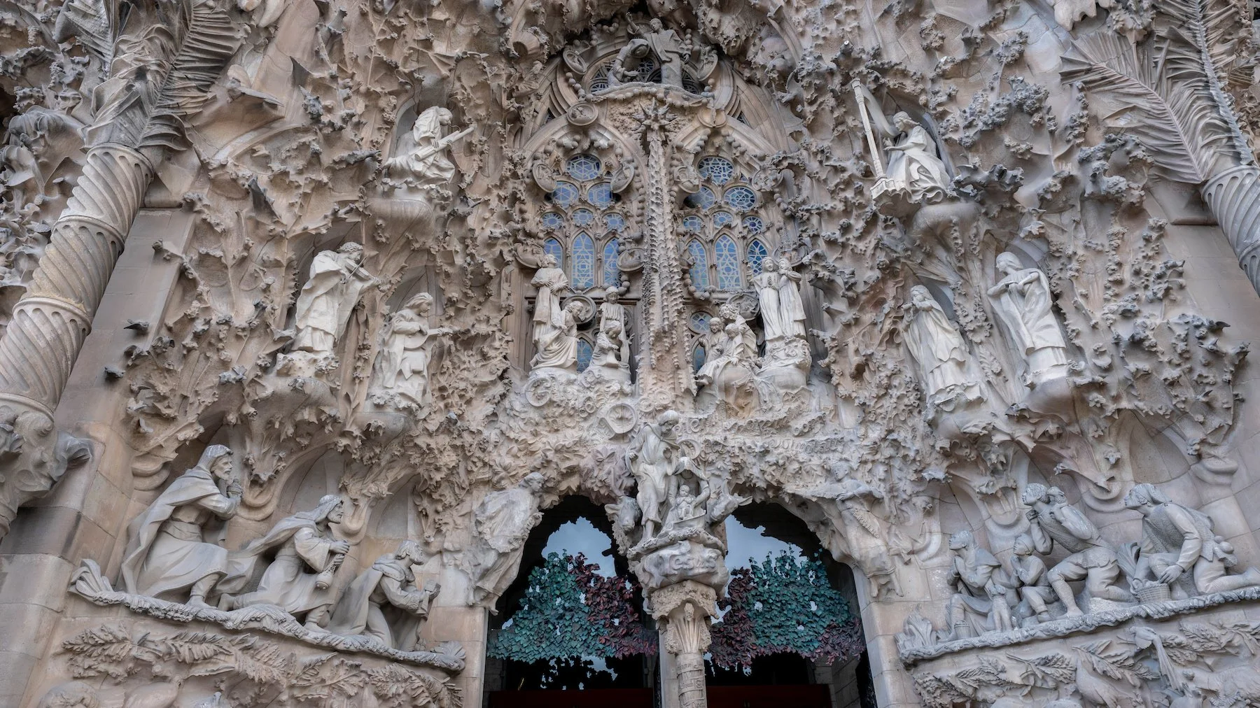 DSC08593.jpg