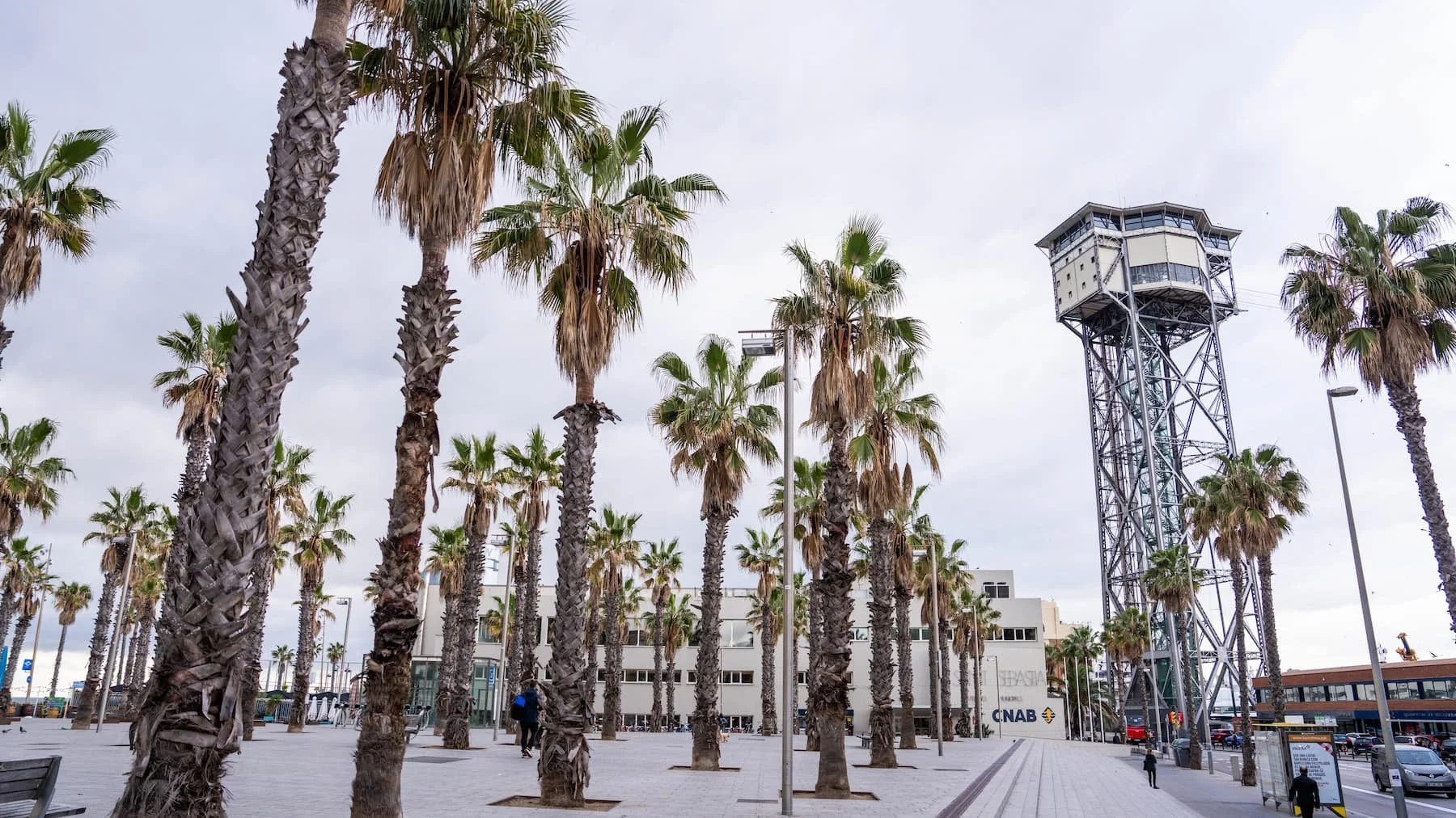 Palms_at_Plaça_del_Mar.jpg