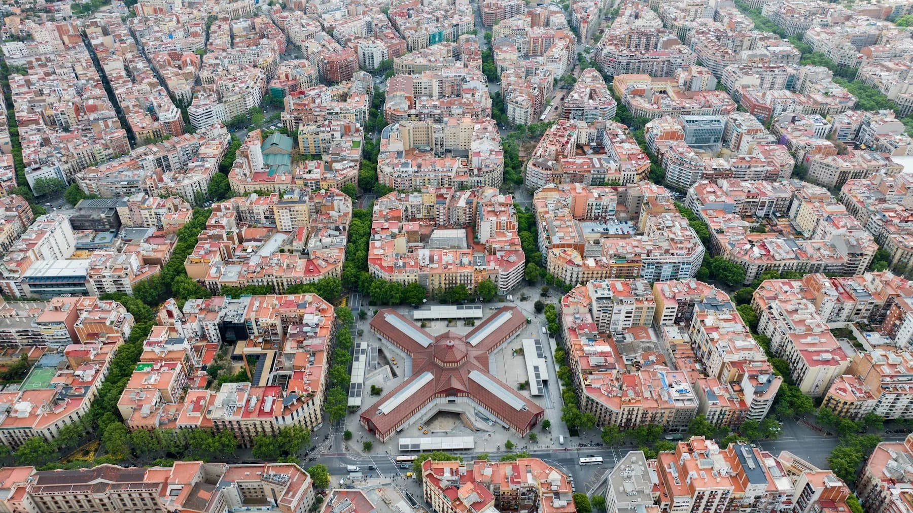 DJI_20240418110739_0041_D.jpg