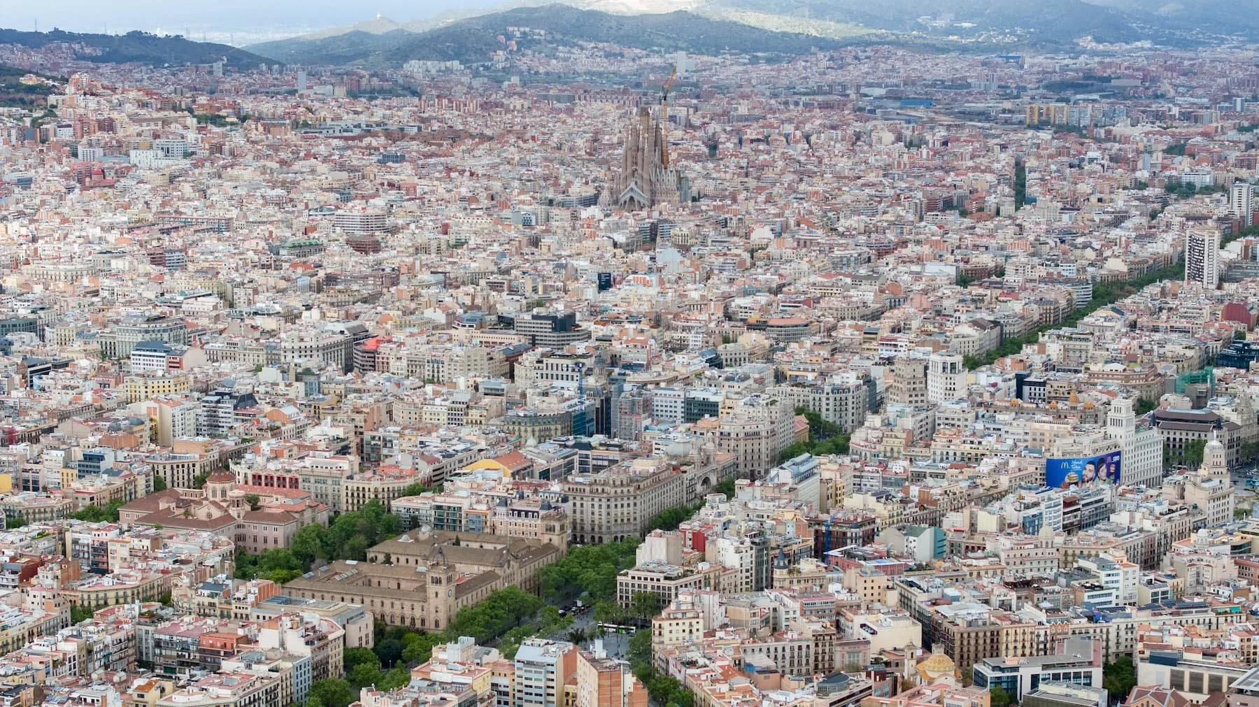 DJI_20240418110201_0015_D.jpg