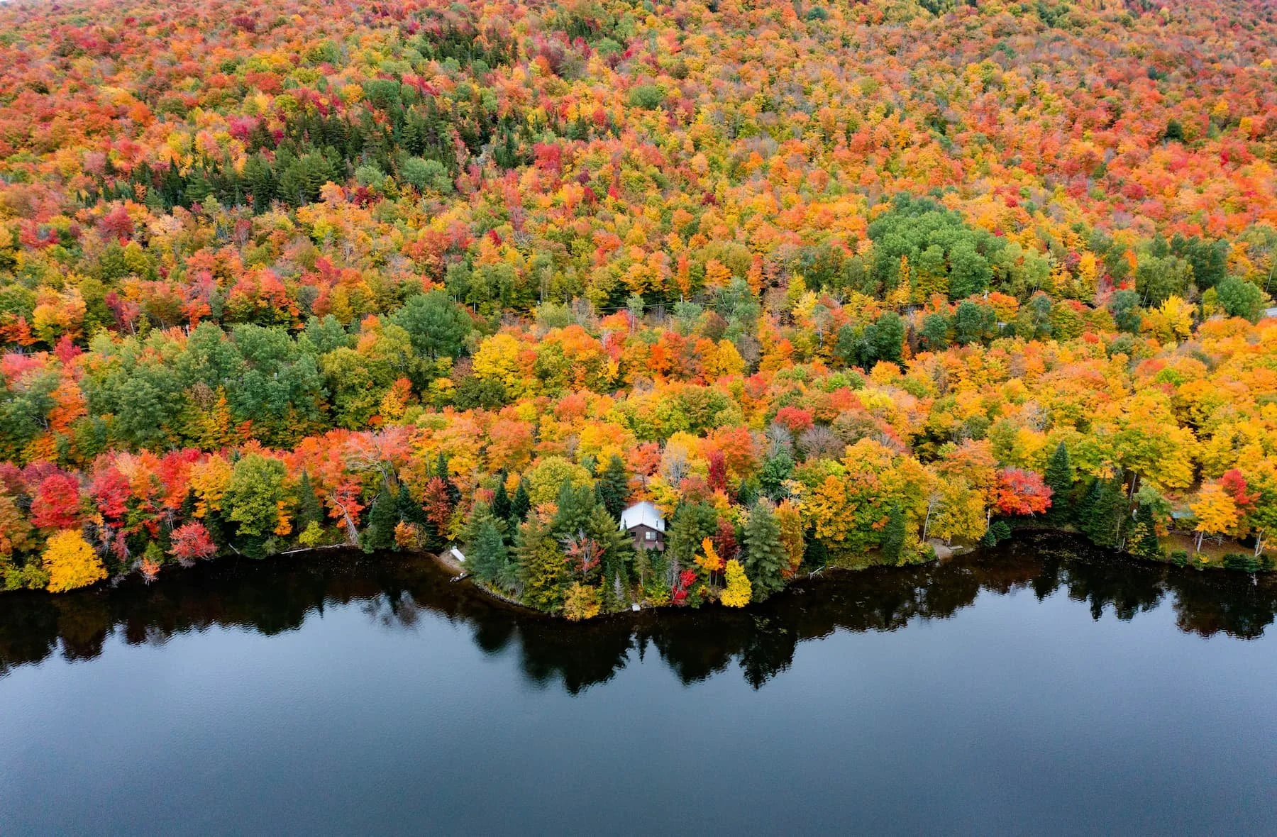 Aerial drone photo of Norton Pond in the Northeast Kingdom of Vermont surrounded by hillside forest in peak fall foliage, red, orange, yellow, and green trees reflected in the still water, with a lone cabin on the shoreline.