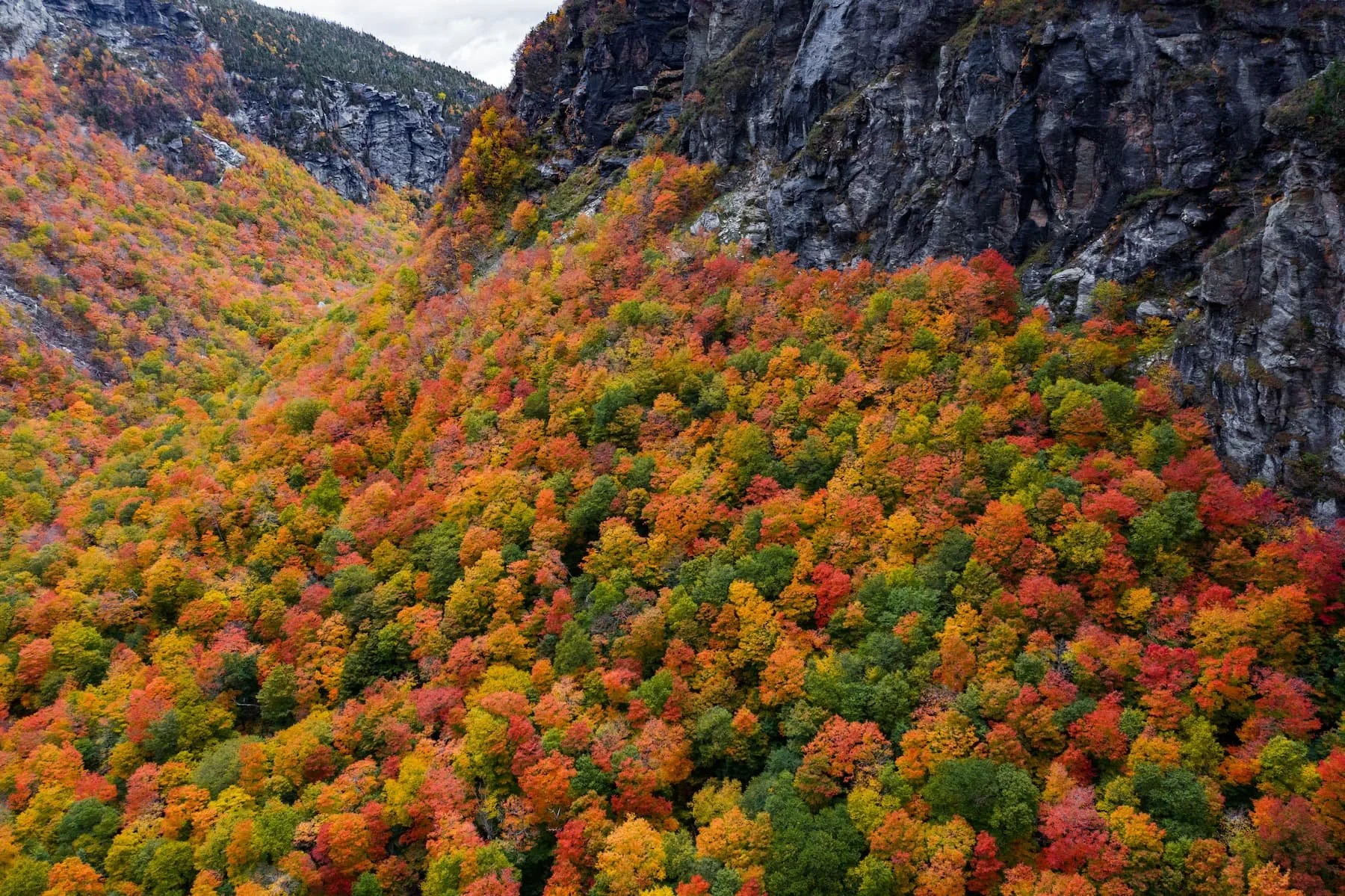 Aerial view of Smugglers Notch in Vermont, steep gray rock cliffs above a mountainside covered in red, orange, yellow, and green peak fall foliage.