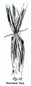 Fig3.png