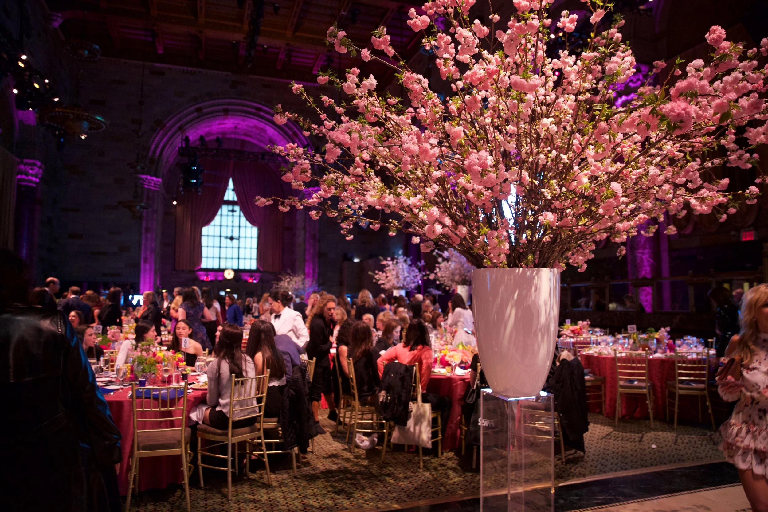 2018 Cipriani.jpg
