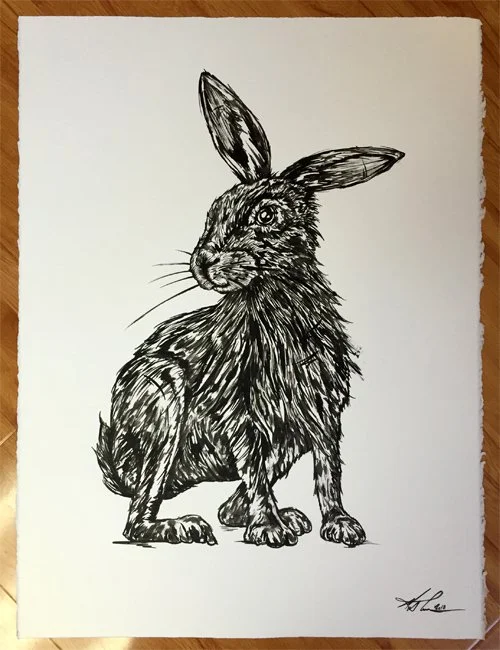 bunny-drawing-main.jpg