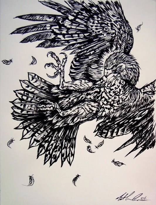 falcon-1.jpg