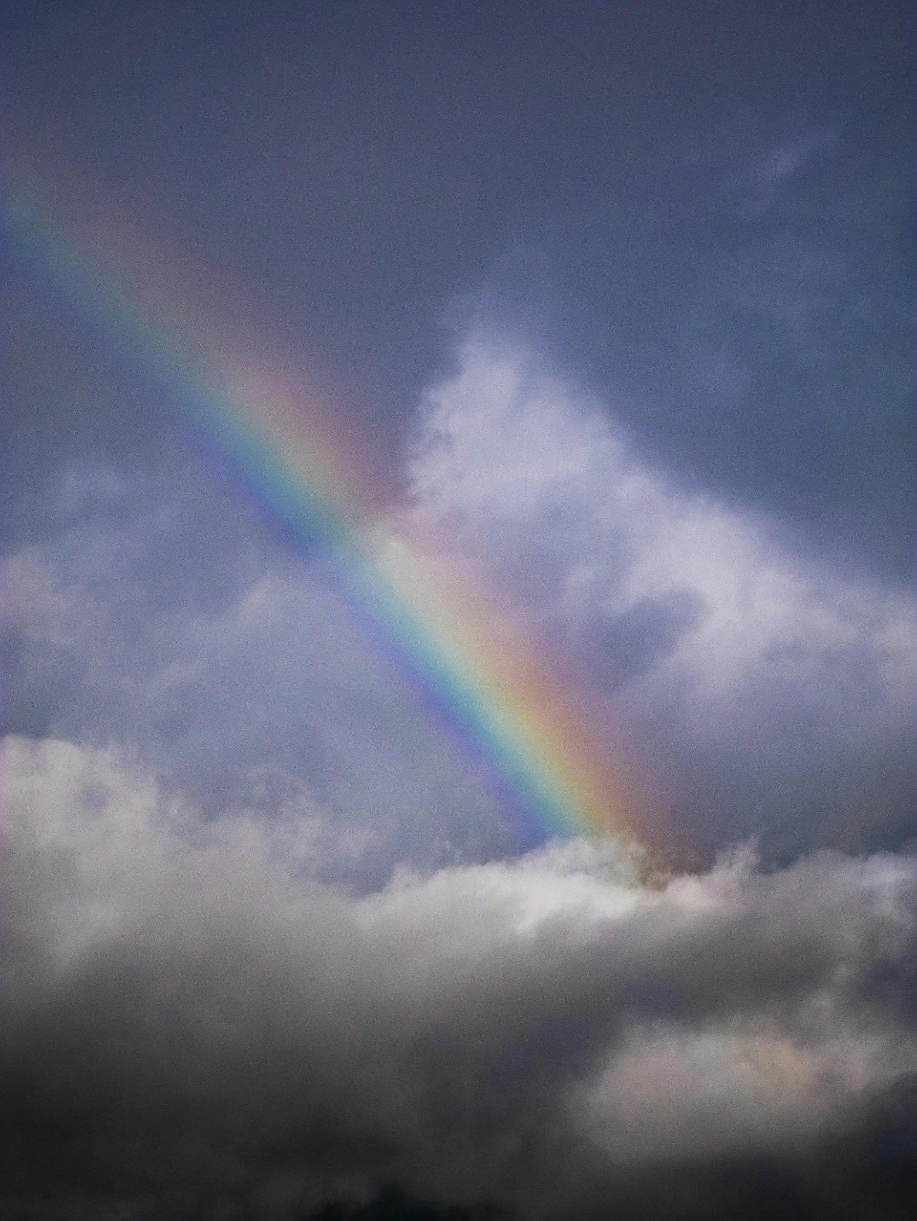 rainbow after pregnancy loss