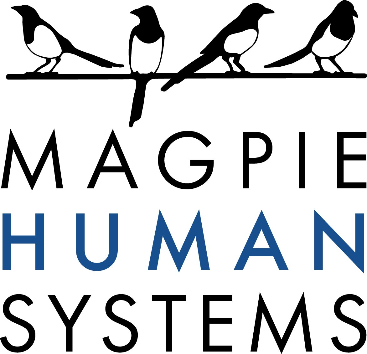Magpie | Human Safety Systems