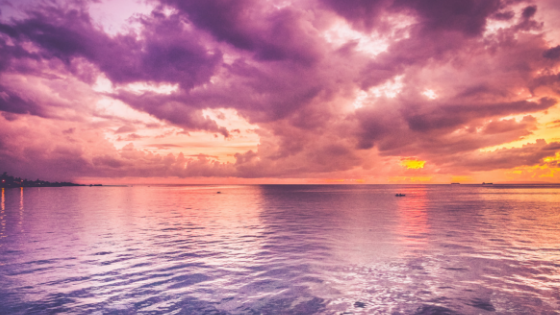 Blank - A Letter to the Girl Who Has to Be....png