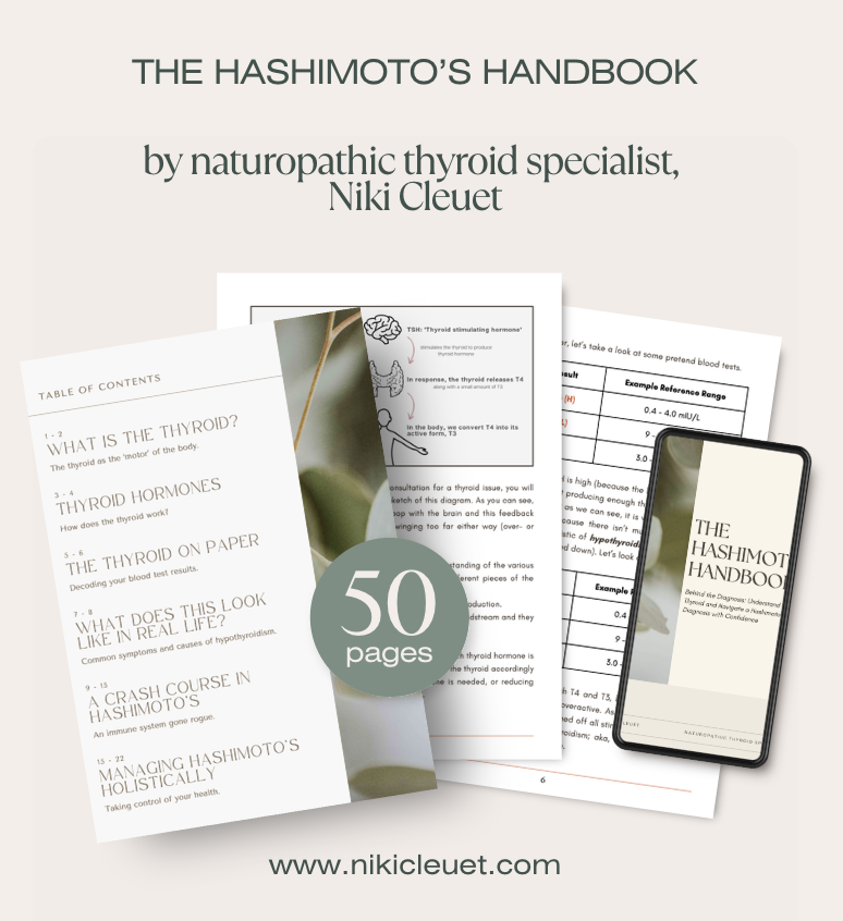 Screenshot 2026-02-16 at 8.10.30 pm.png