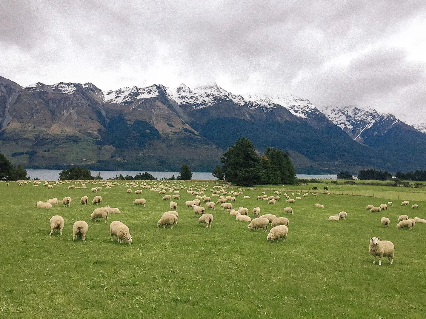   glenorchy on iPhone  