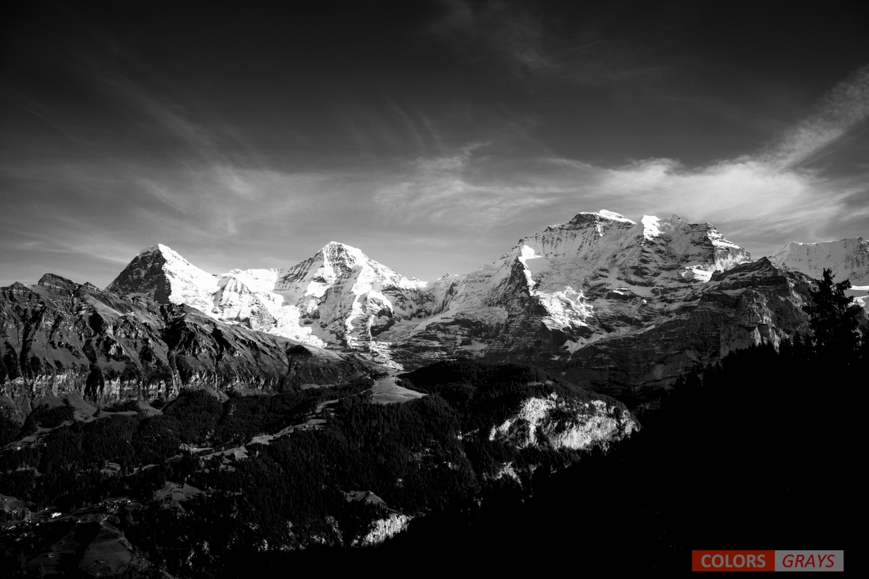 EMJ-L2012268-Bearbeitet-2-Bearbeitet-11.jpg