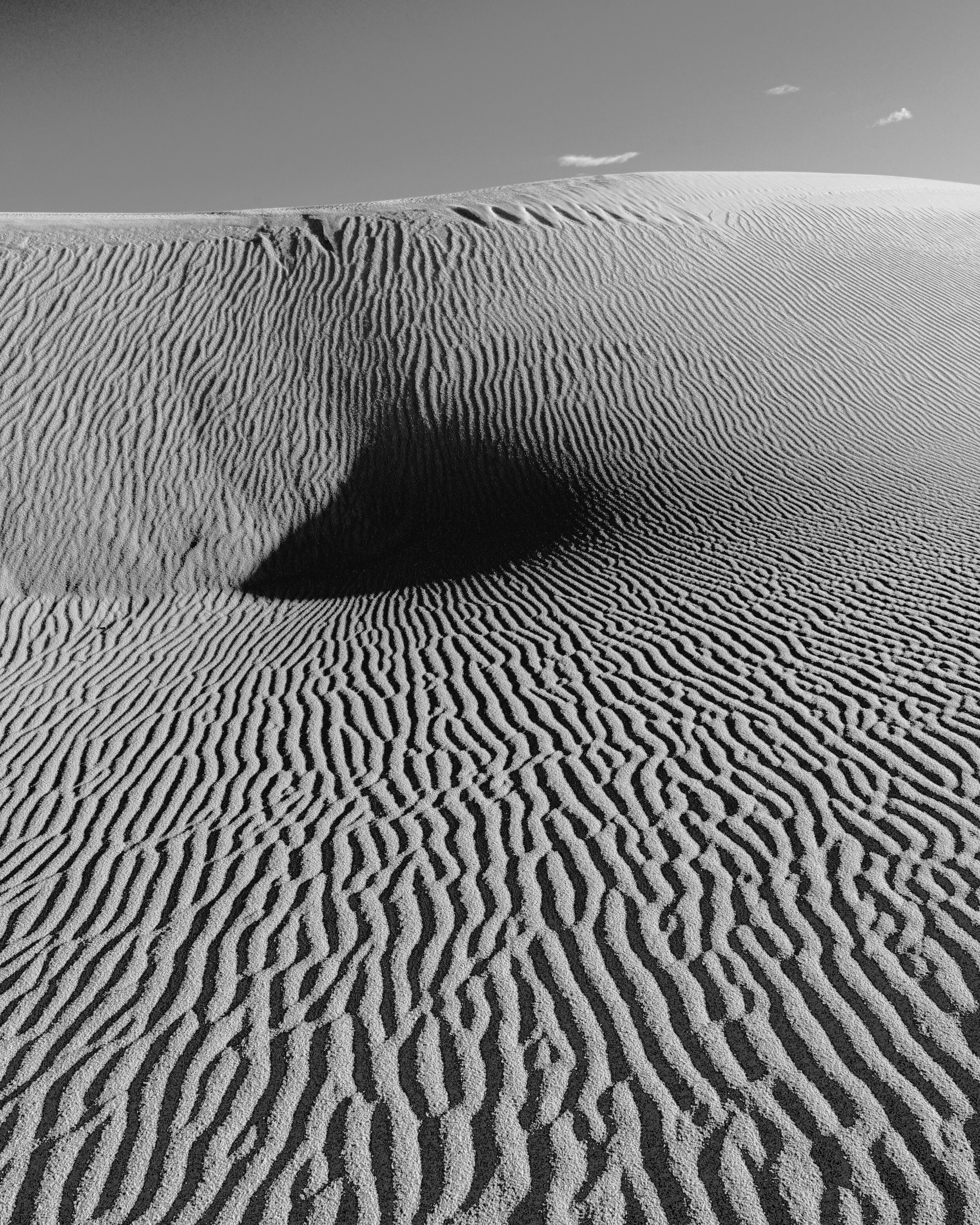 Dune