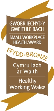 Healthy Working Wales - Bronze Logo.JPG