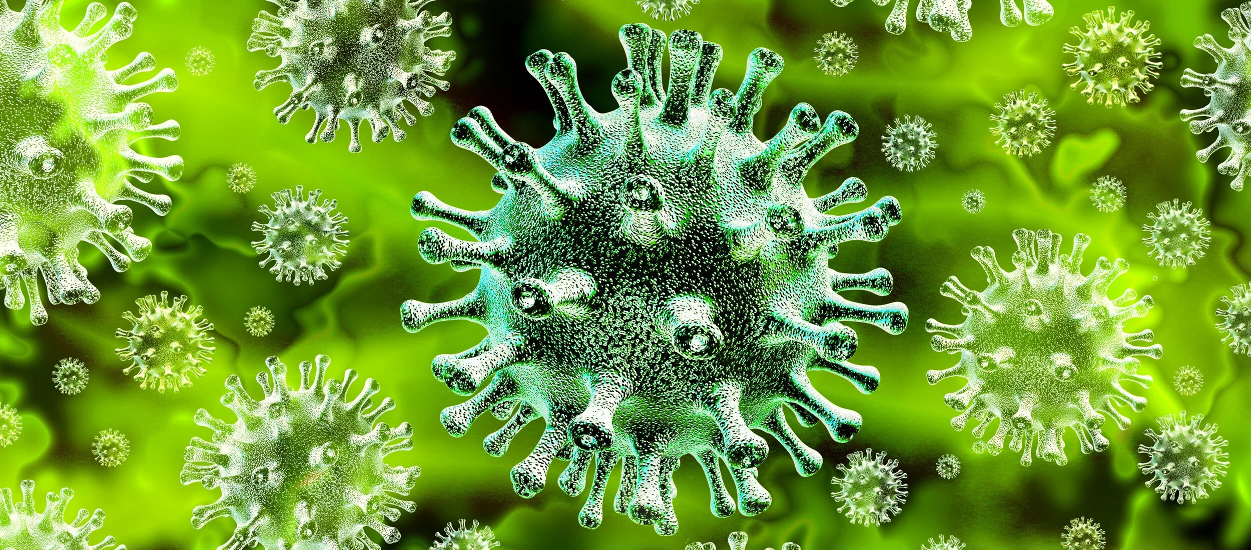 Coronavirus Decontamination &amp; Fogging