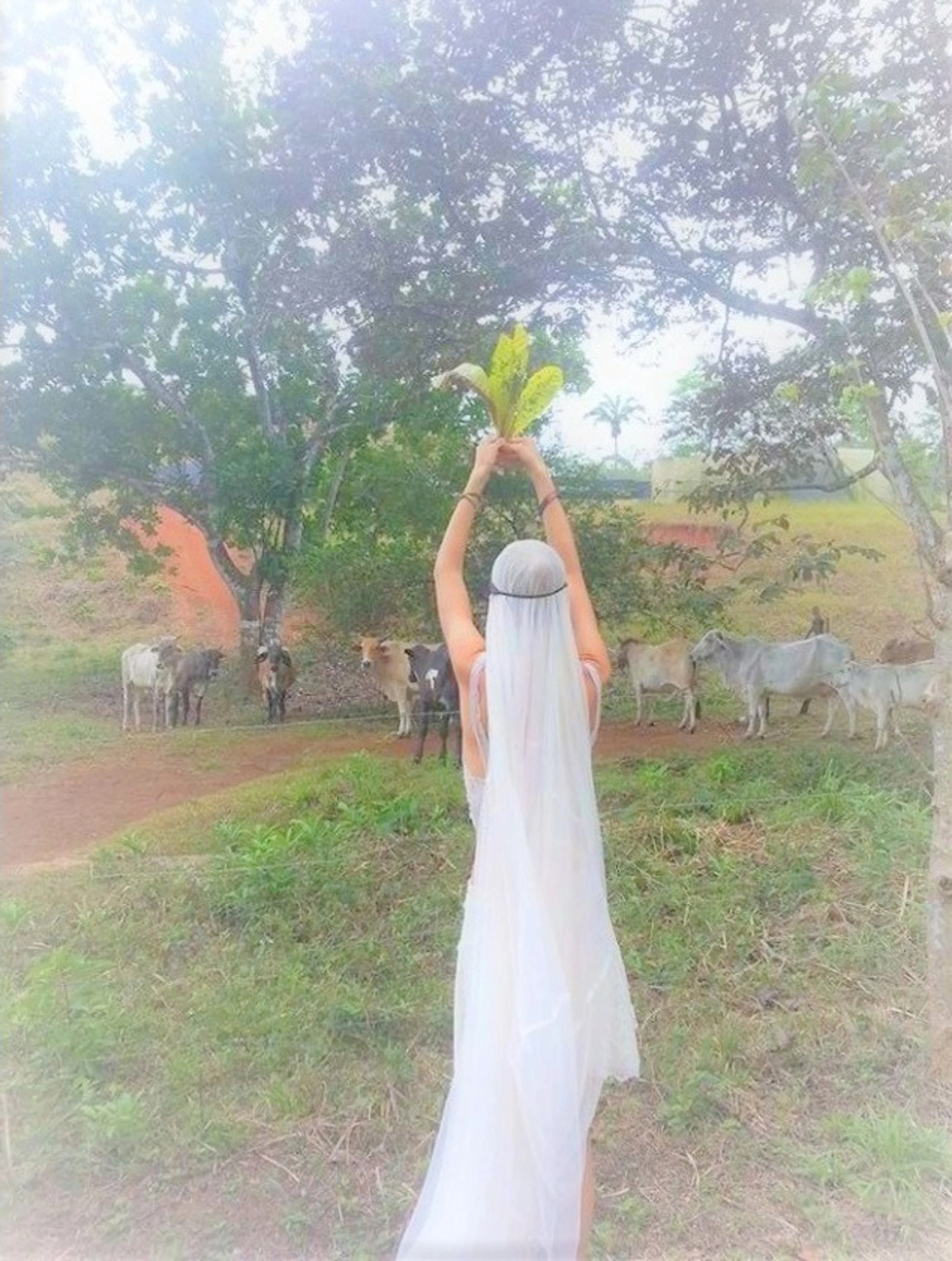 Sparky Marries the Universe2_Performance+Photography.jpg