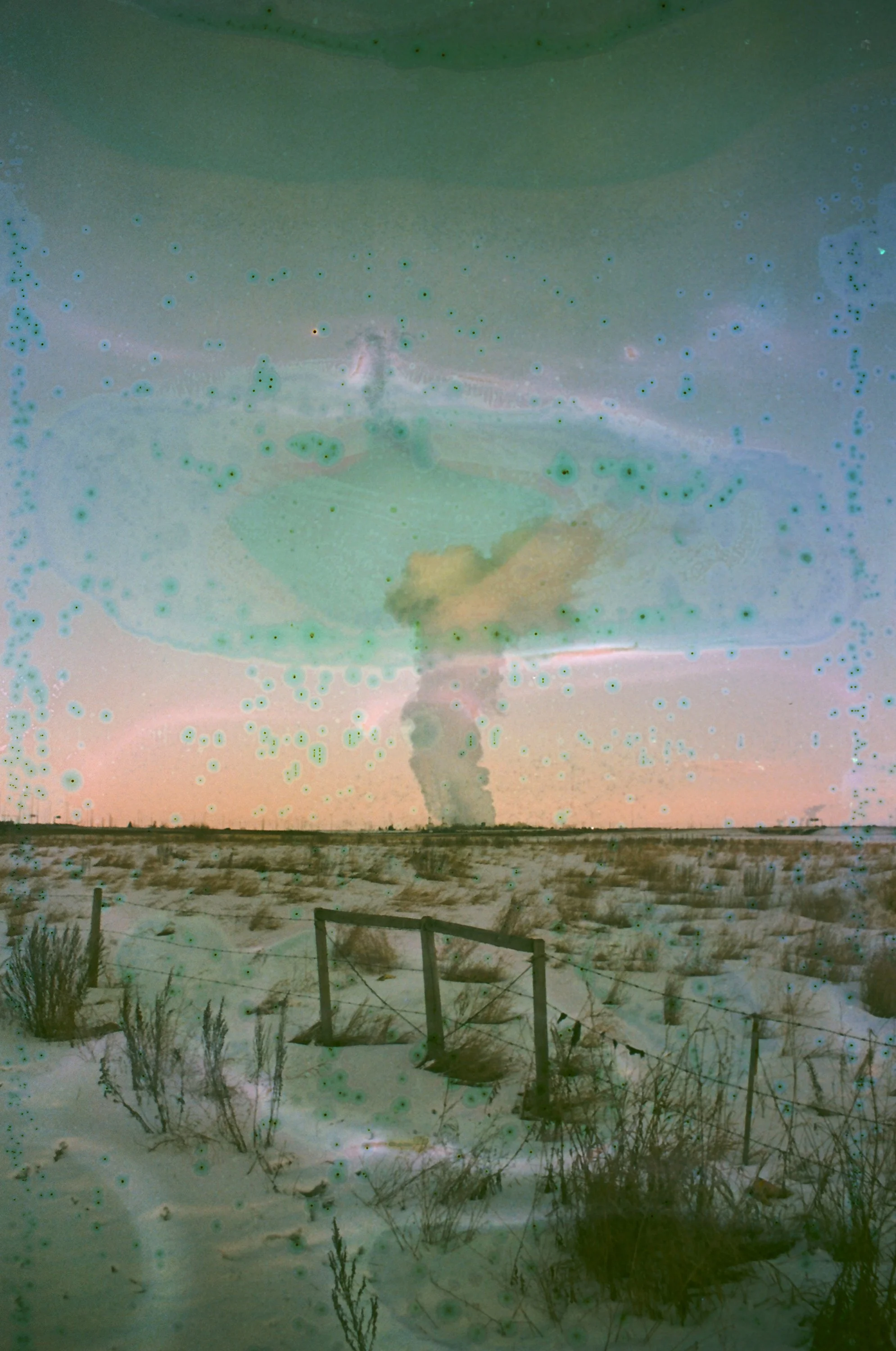withoutaflock_35mmfilm.jpg