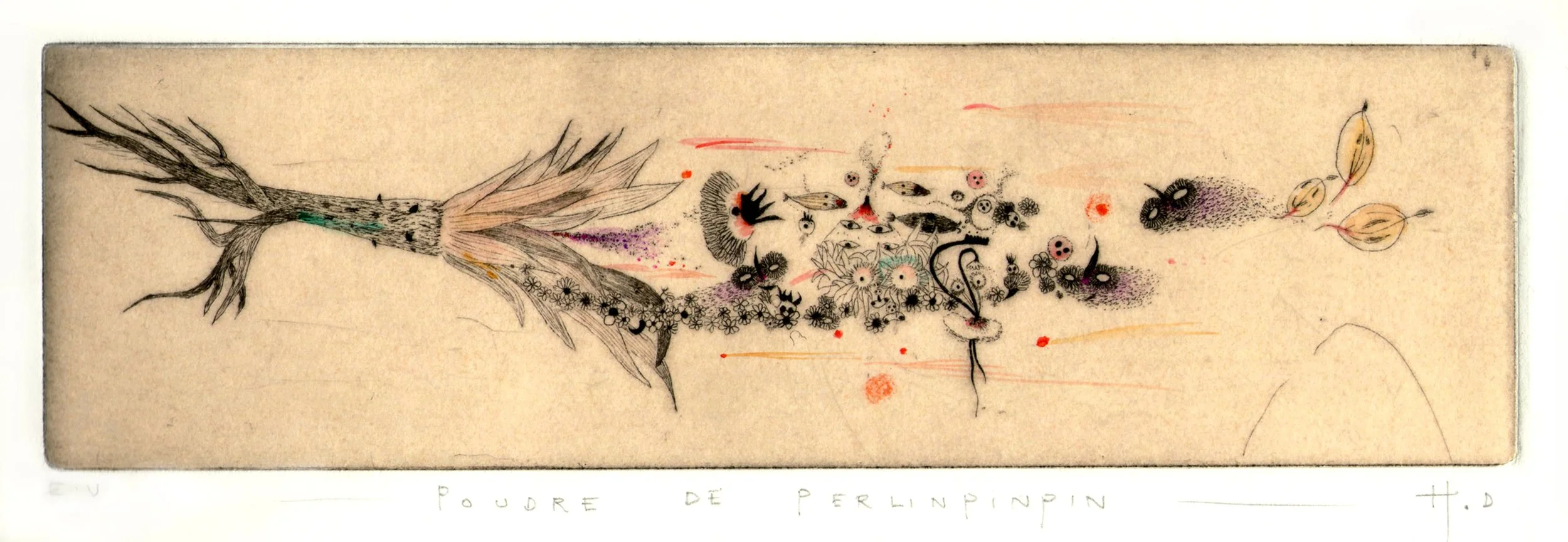 9 Poudre de perlinpinpin.jpg