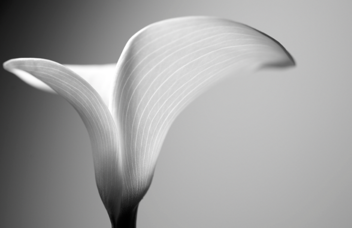 Captura de Pantalla 2019-08-04 a la(s) 18.58.36.png