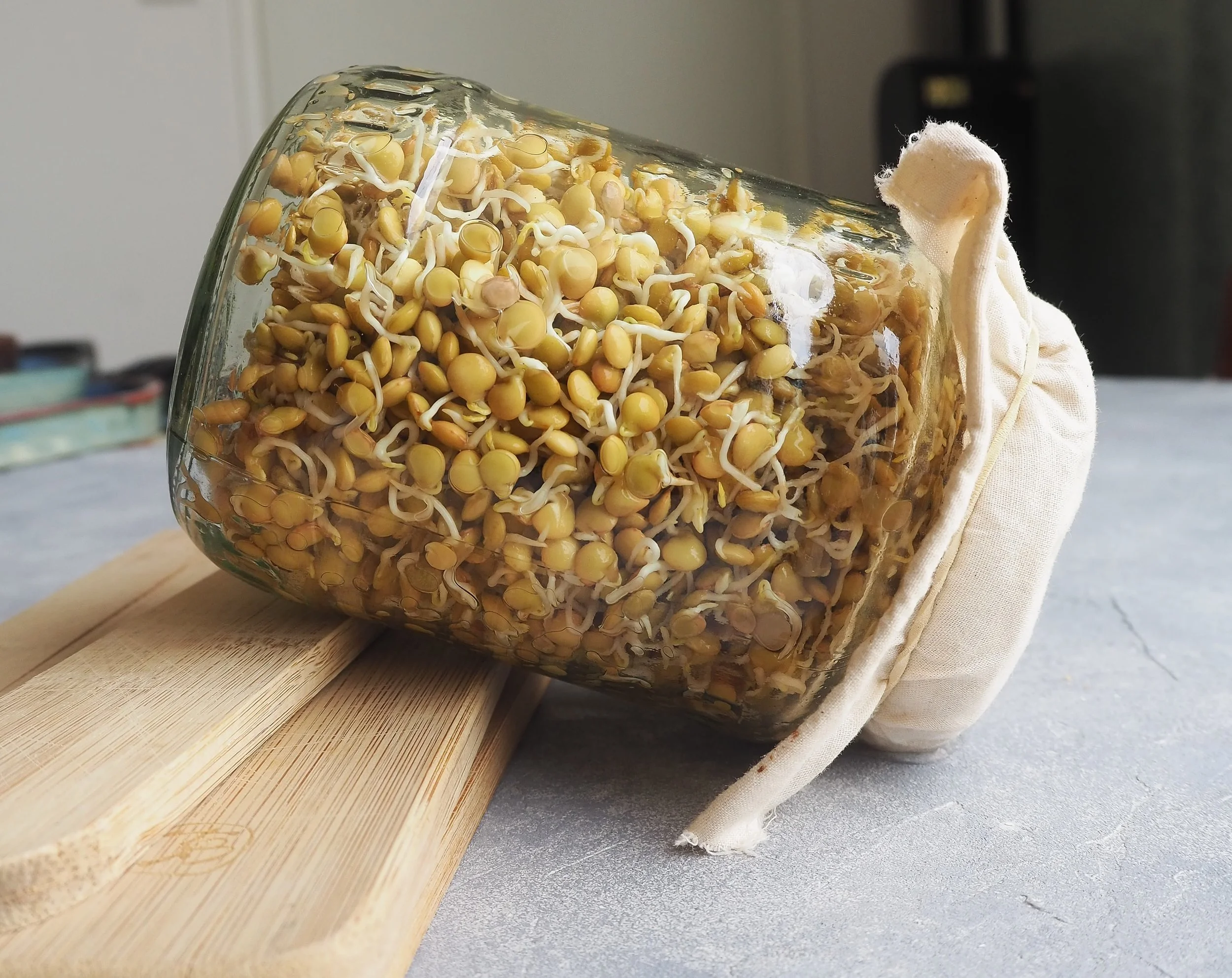 How-To-Sprout-Lentils-3.jpg
