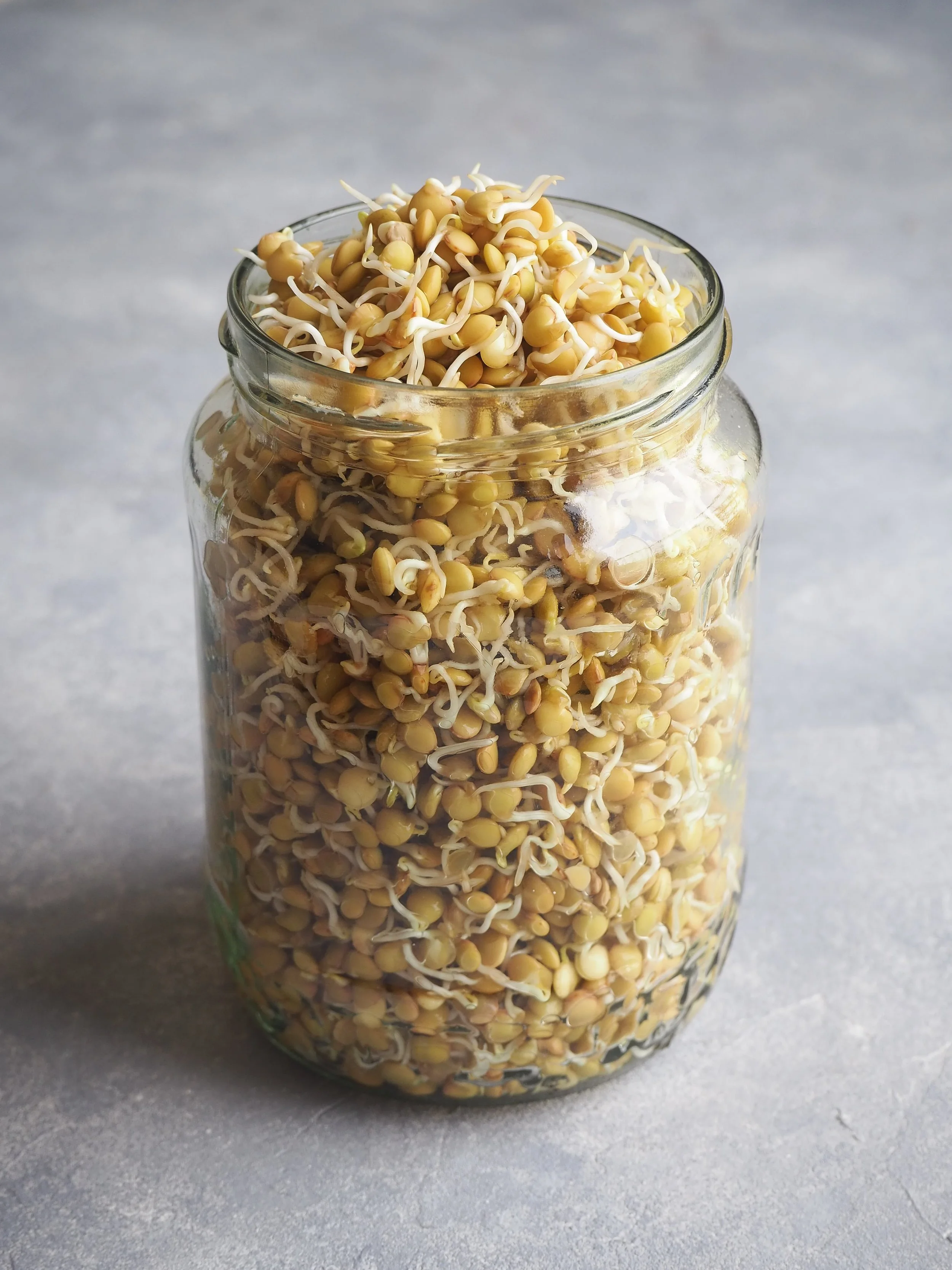 How-To-Sprout-Lentils-2.jpg