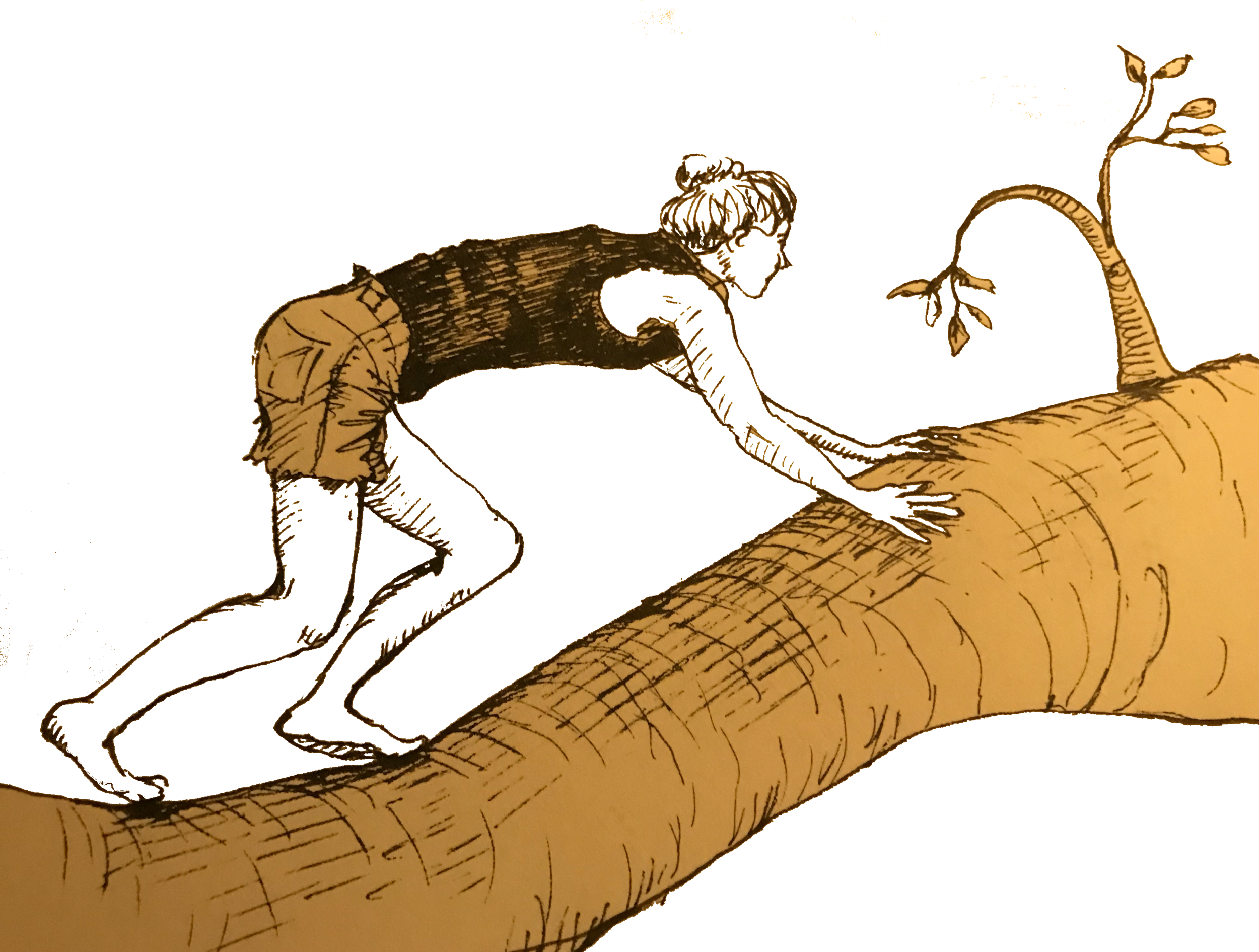 sketch23.png